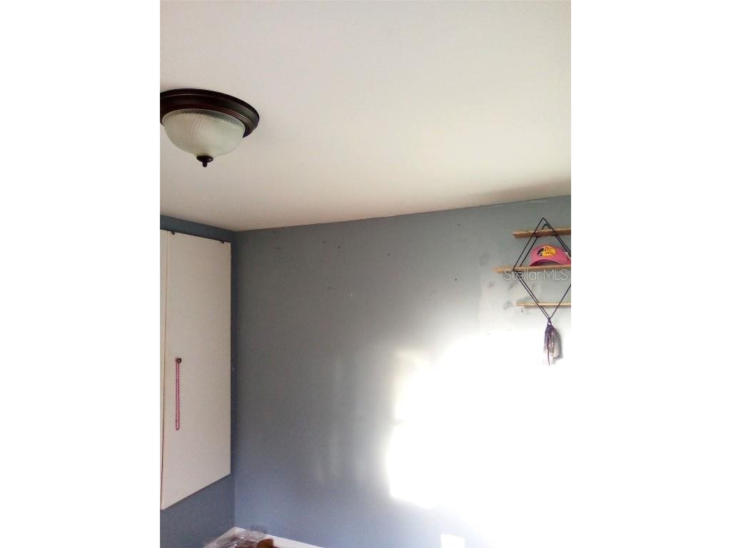 44721 Forest View Road Deland FL 32720 NS1086579 image2