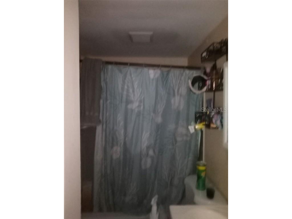 44721 Forest View Road Deland FL 32720 NS1086579 image6