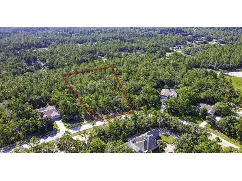 4473 N Saddle Drive Beverly Hills FL 34465 W7840444 image1