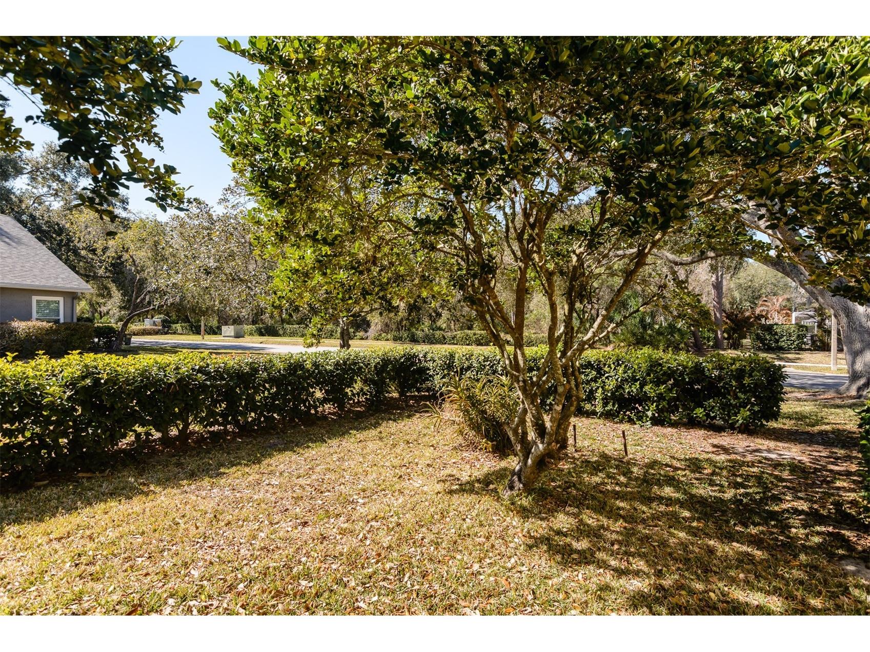 4473 Worthington Circle Palm Harbor FL 34685 TB8474110 image58