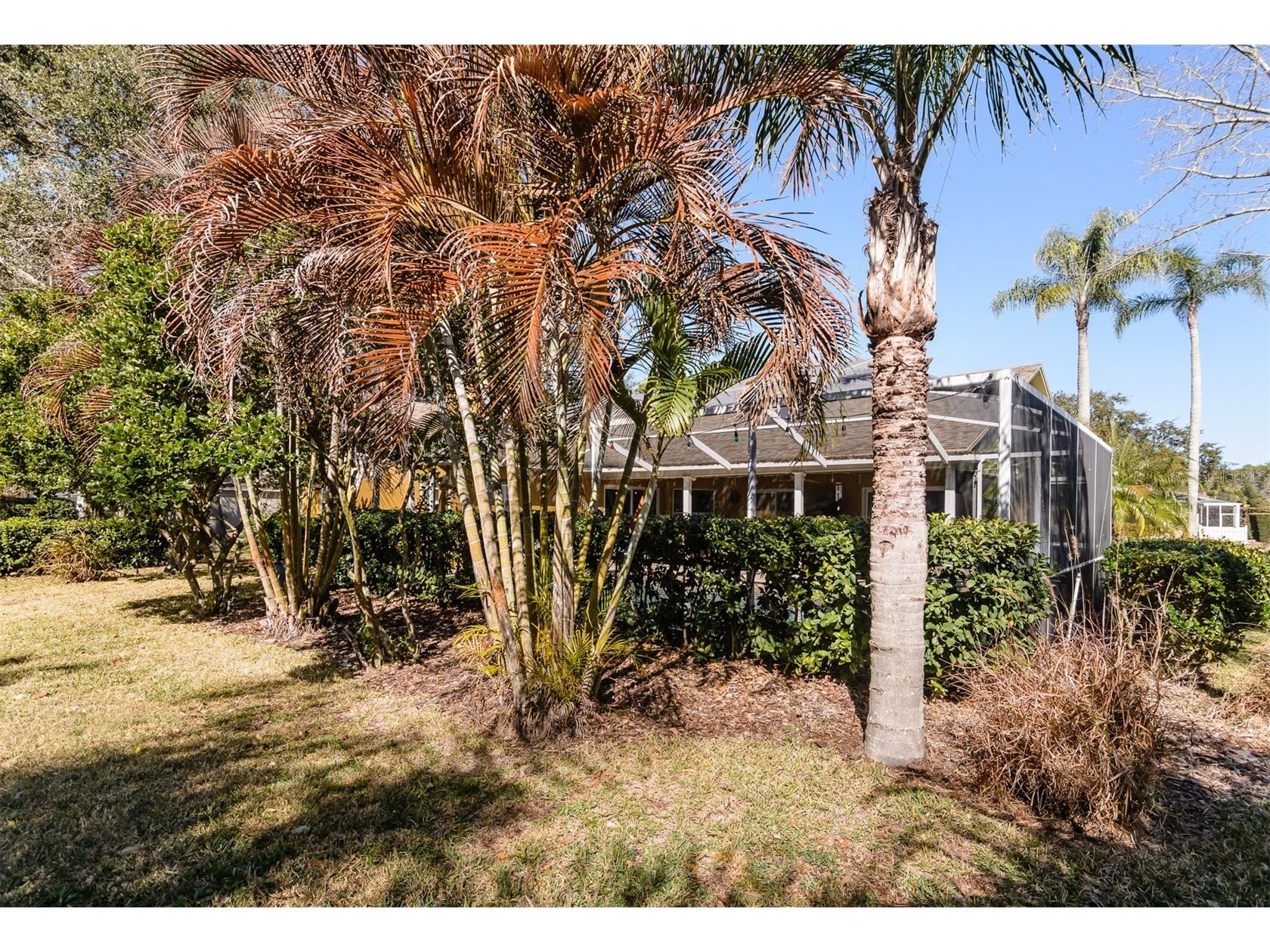 4473 Worthington Circle Palm Harbor FL 34685 TB8474110 image60