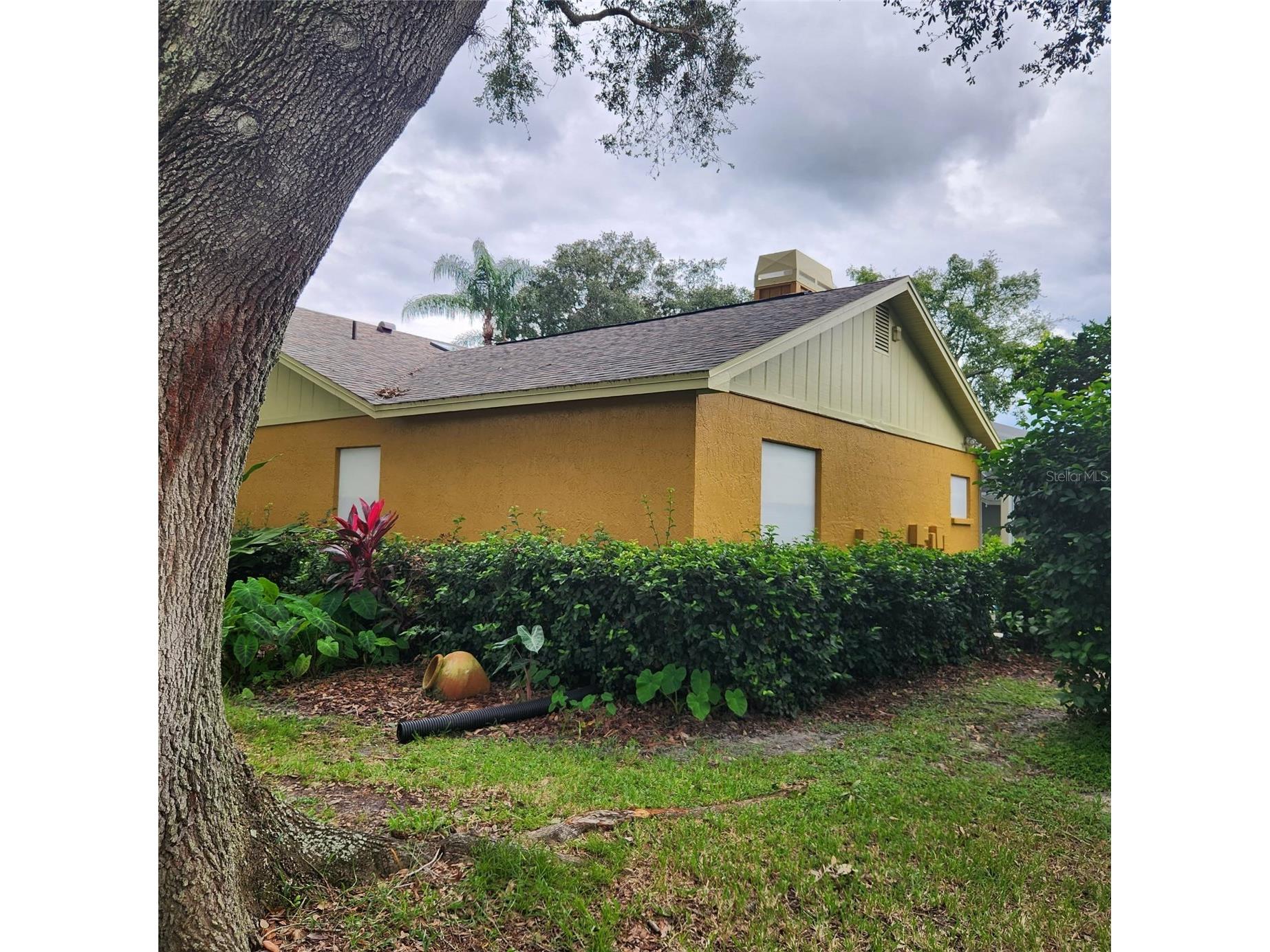 4473 Worthington Circle Palm Harbor FL 34685 TB8474110 image63