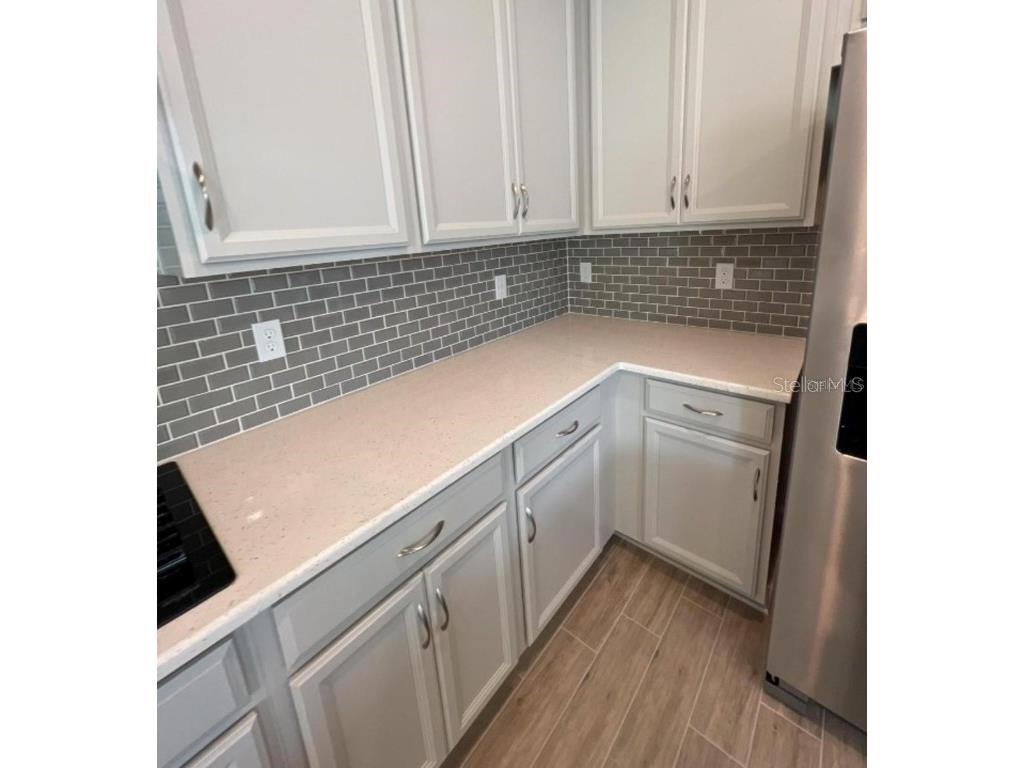 4474 Davos Drive Clermont FL 34711 O6358504 image4