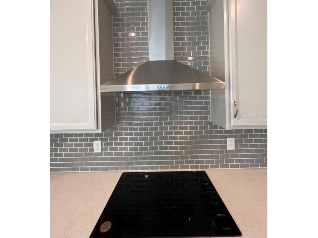 4474 Davos Drive Clermont FL 34711 O6358504 image5