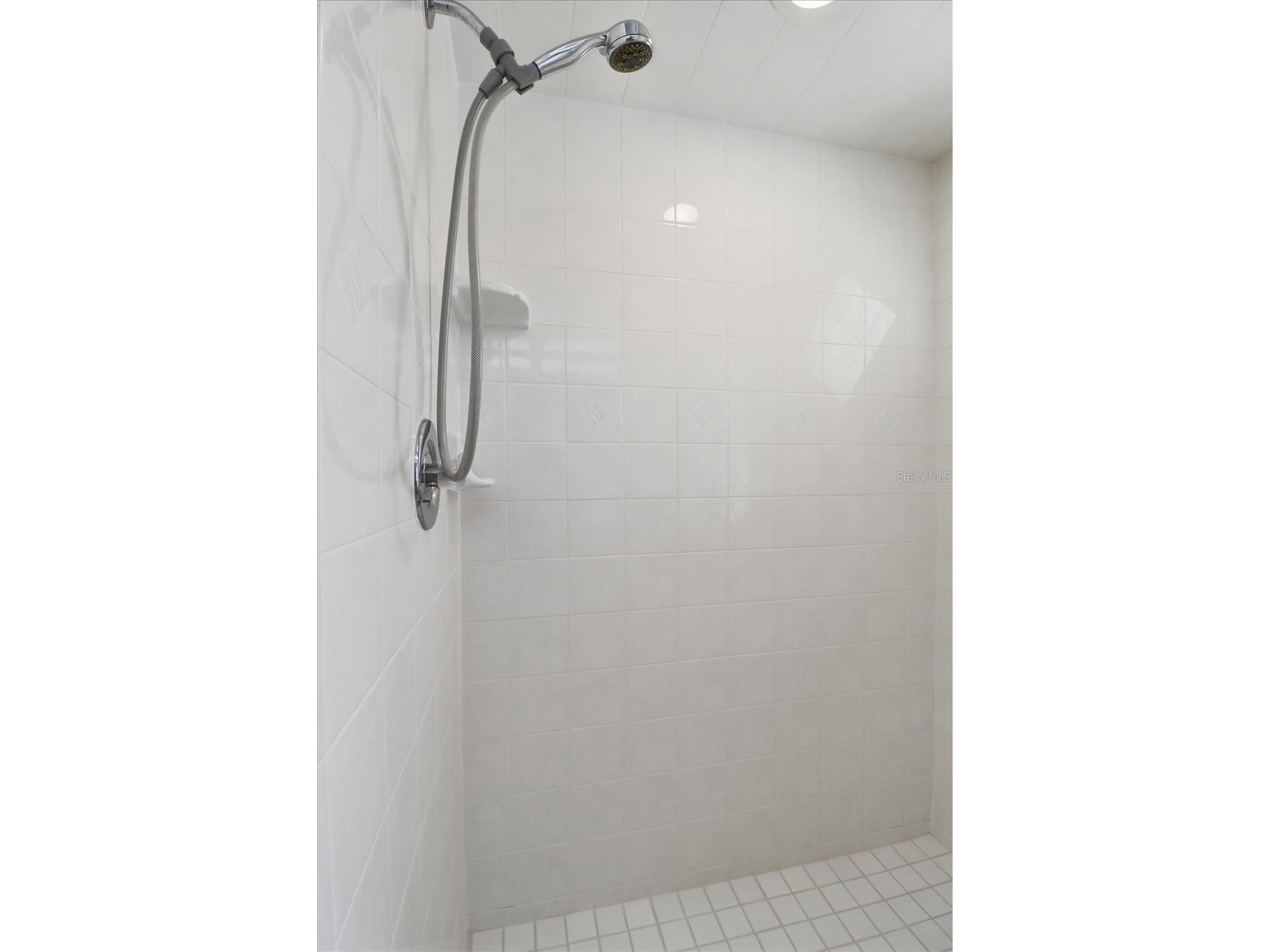 4474 W Horseshoe Drive Beverly Hills FL 34465 OM724199 image21