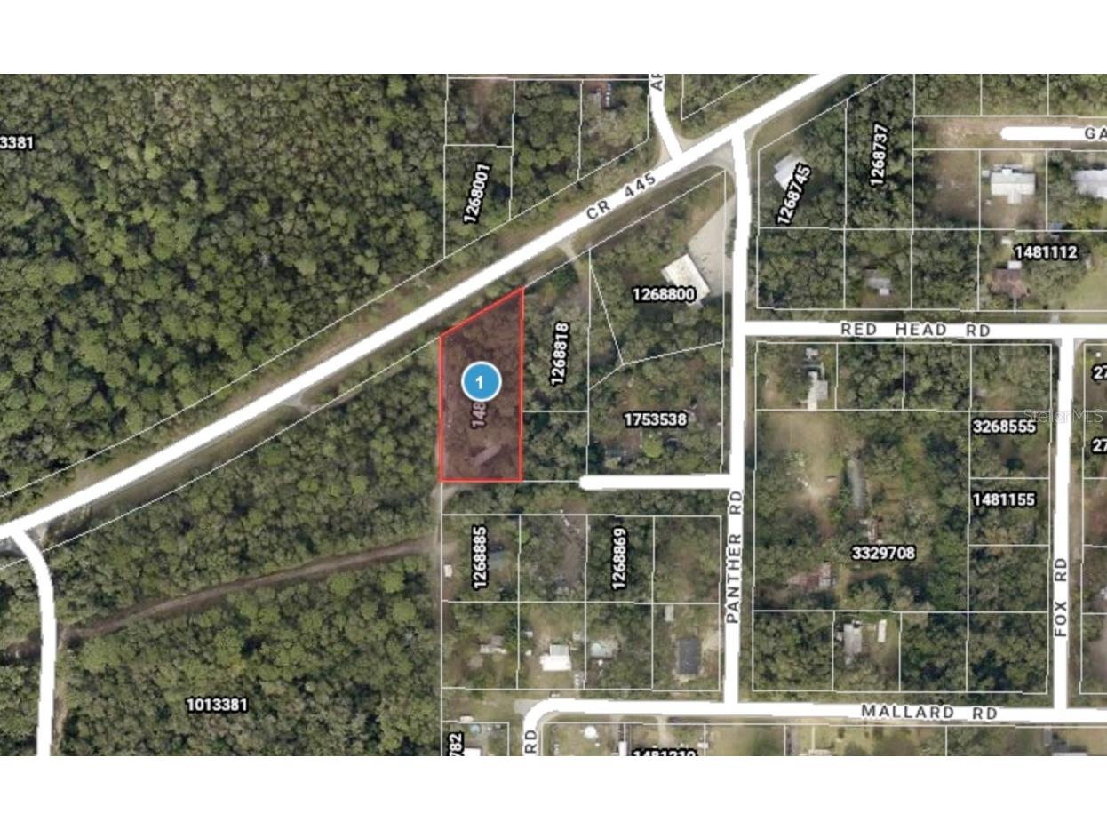 44748 Baldpate Road Altoona FL 32702 O6355887 image1