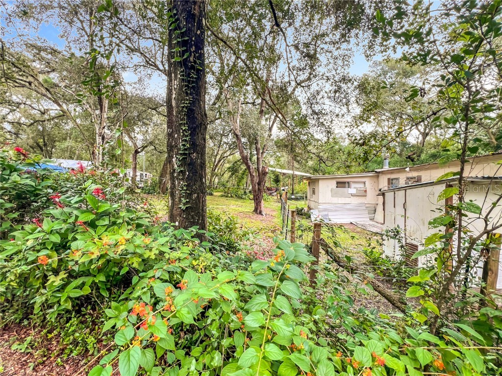 44748 Baldpate Road Altoona FL 32702 O6355887 image4