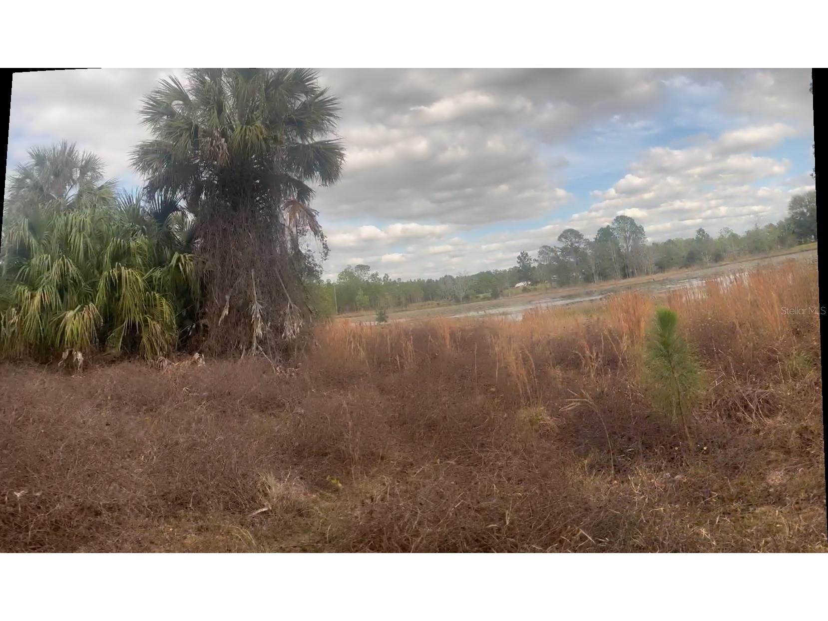 44750 Misty Isle Drive Deland FL 32720 V4946368 image3