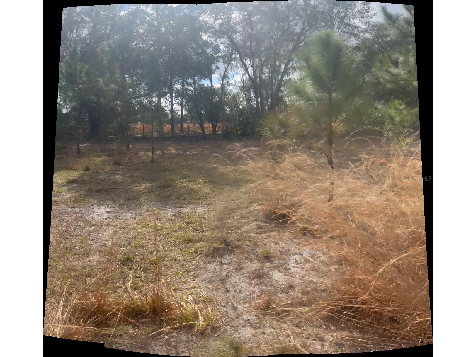 44750 Misty Isle Drive Deland FL 32720 V4946368 image4