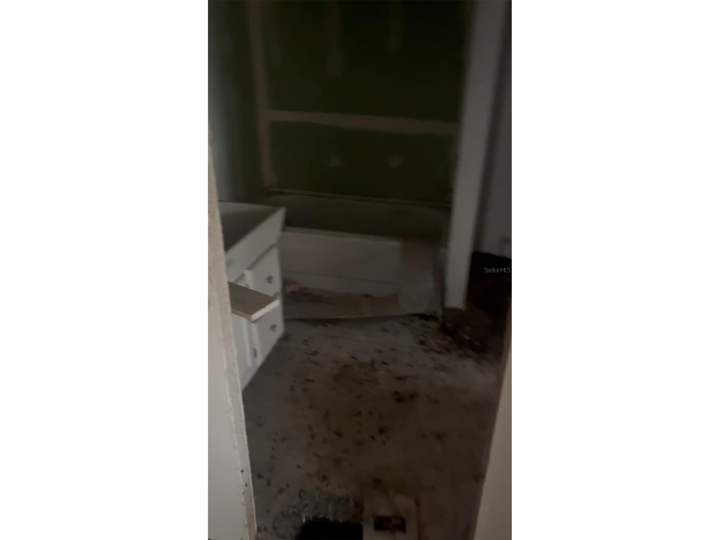 44750 Misty Isle Drive Deland FL 32720 V4946368 image7