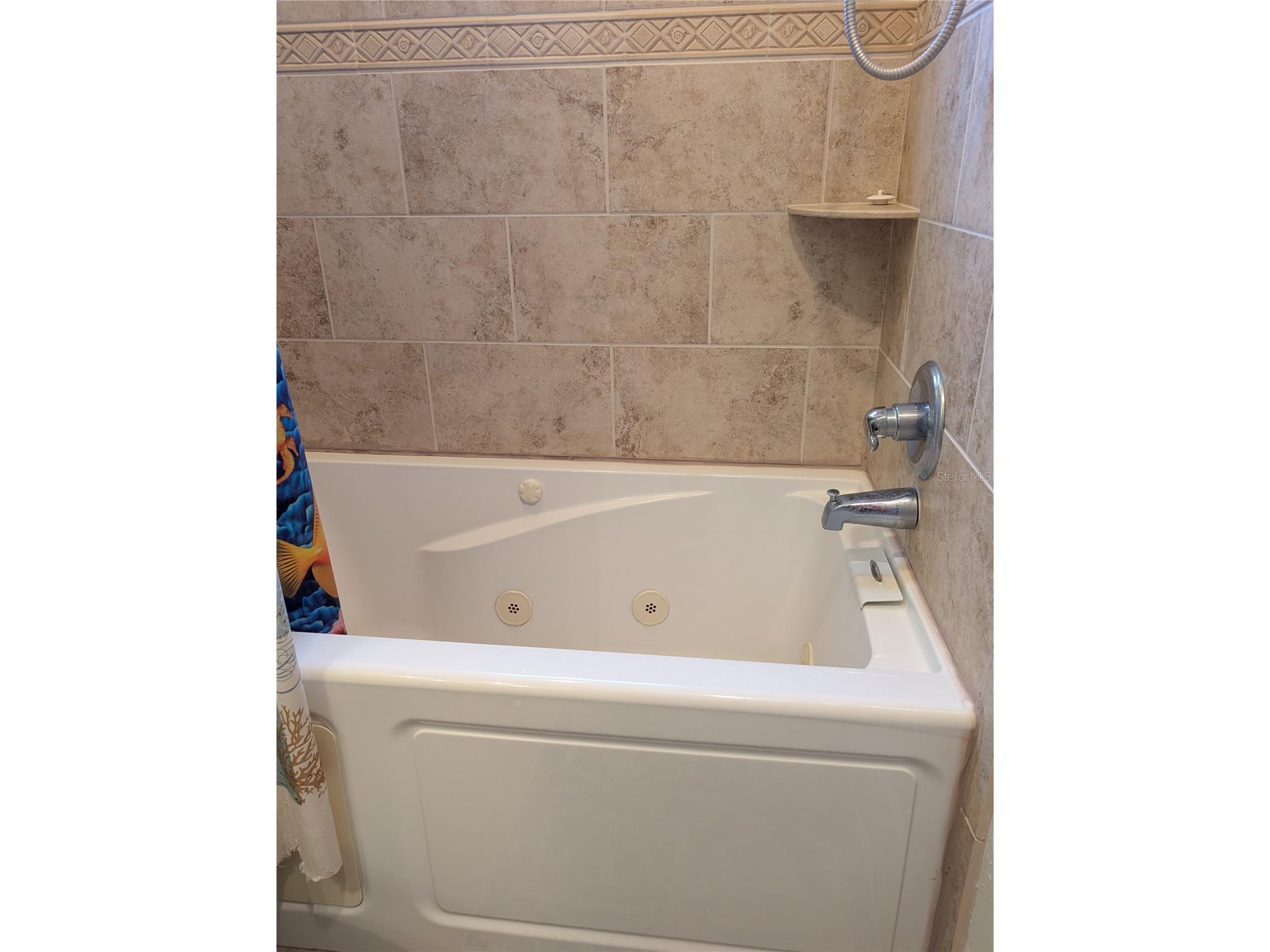 4478 Lake Boulevard Clearwater FL 33762 TB8439416 image34