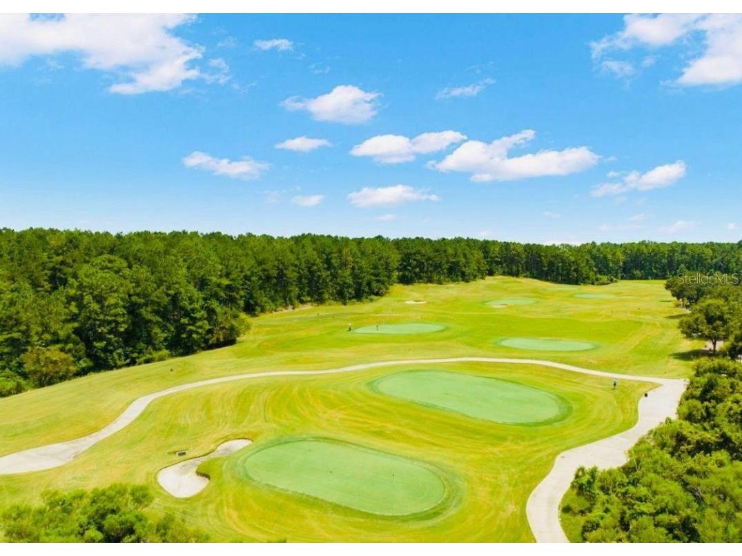 4478 Majestic Hills Loop Brooksville FL 34601 O6249044 image14