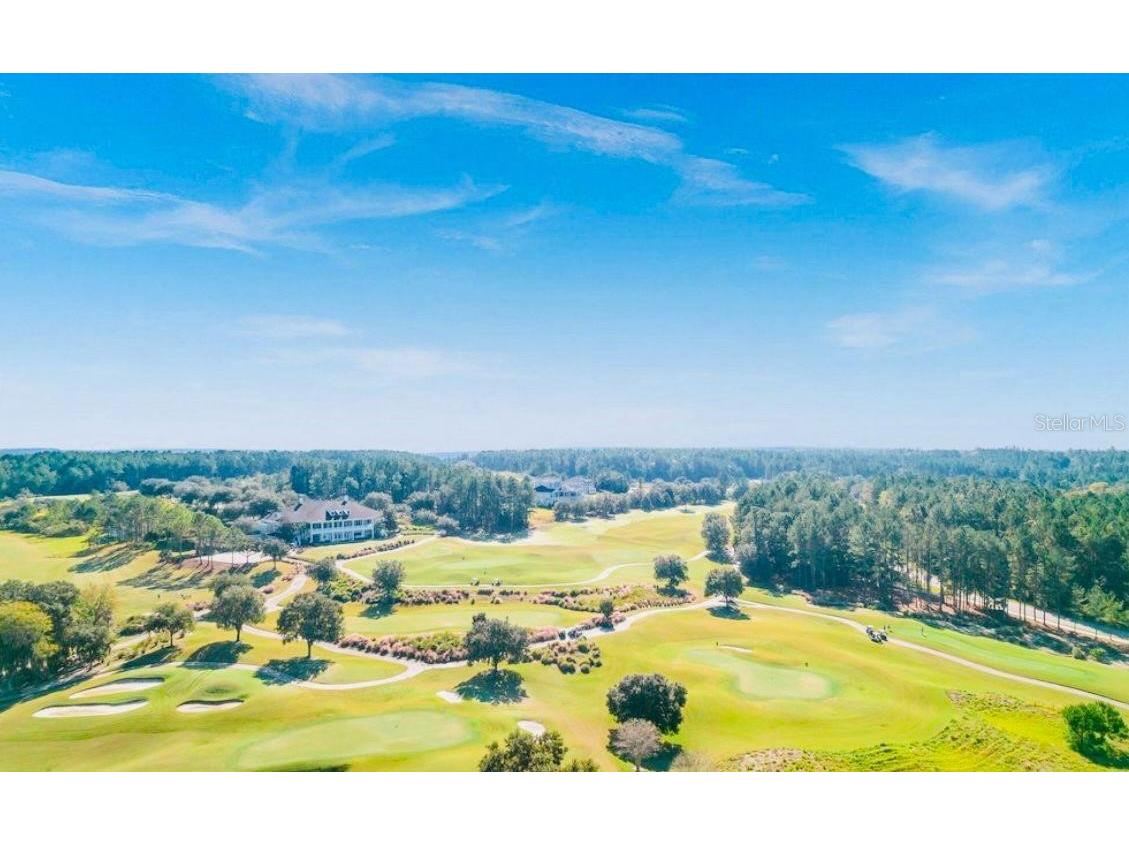 4478 Majestic Hills Loop Brooksville FL 34601 O6249044 image16