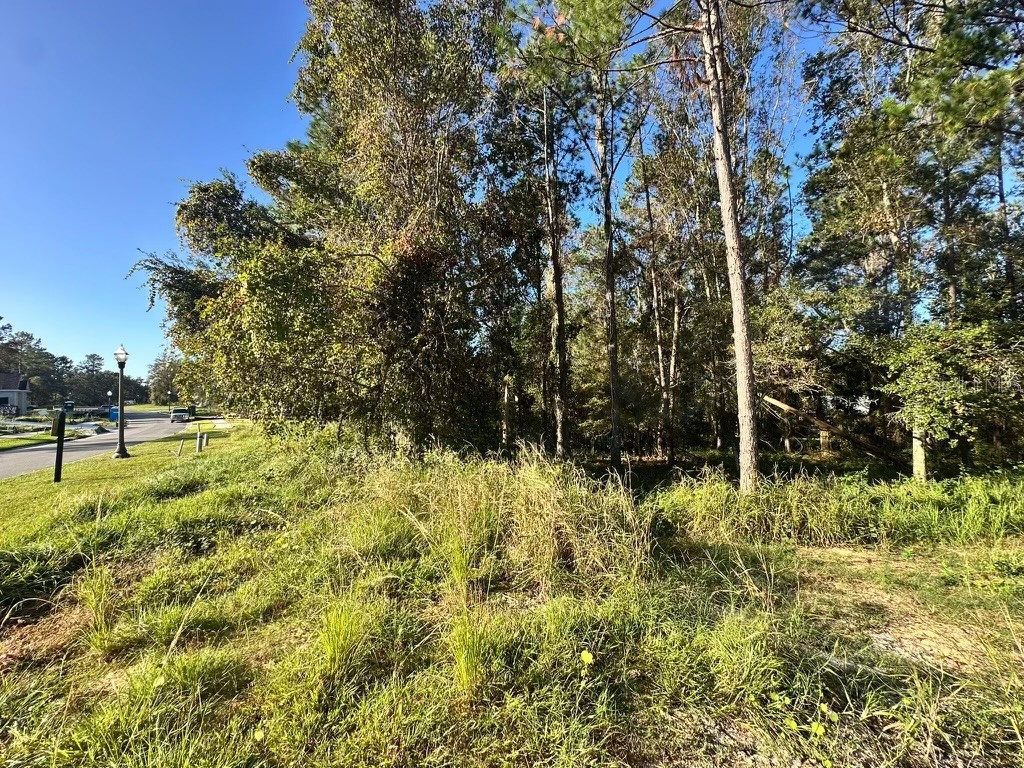 4478 Majestic Hills Loop Brooksville FL 34601 O6249044 image37