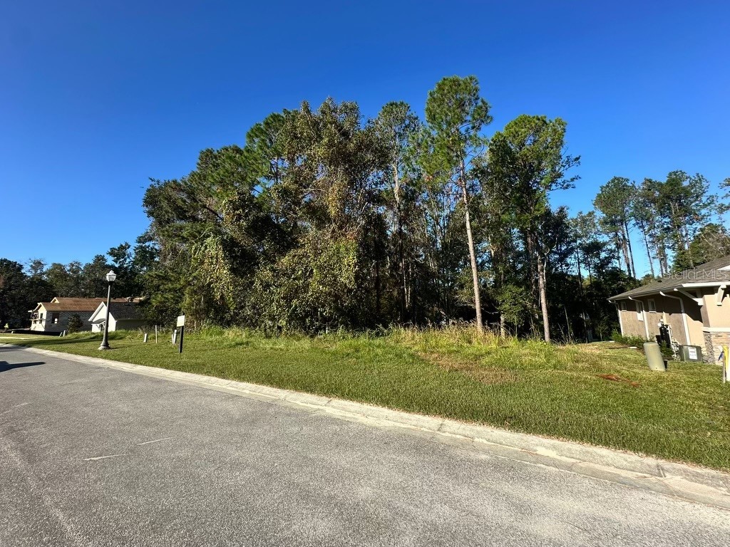 4478 Majestic Hills Loop Brooksville FL 34601 O6249044 image38