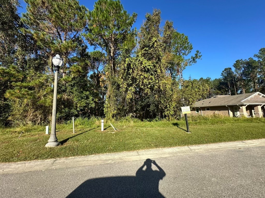 4478 Majestic Hills Loop Brooksville FL 34601 O6249044 image39