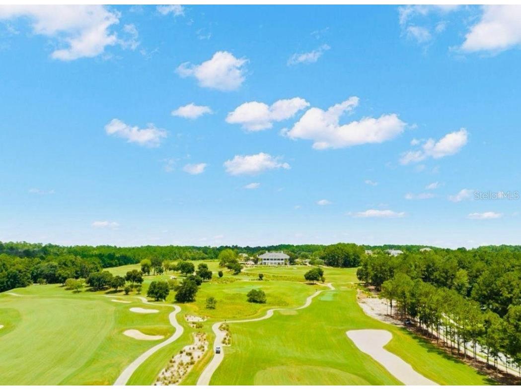 4478 Majestic Hills Loop Brooksville FL 34601 O6249044 image8