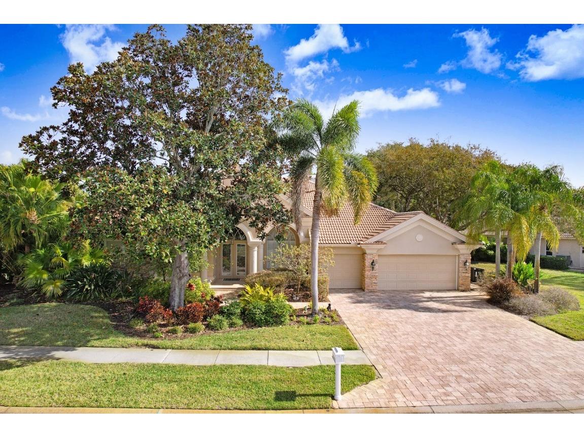 4479 Roanoak Way Palm Harbor FL 34685 U8230961 image1