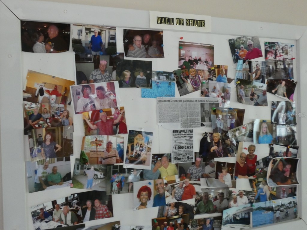 4479 Tucker Square New Port Richey FL 34652 W7877825 image45