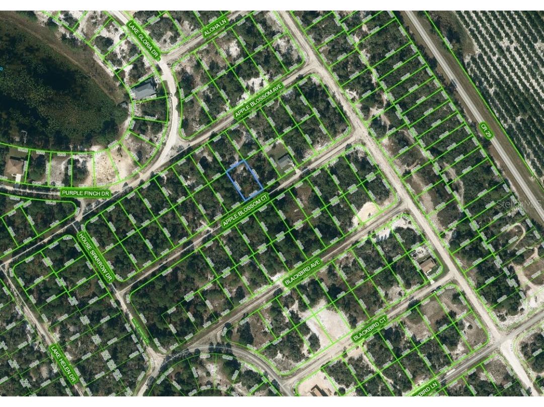 448 Apple Blossom Court Lake Placid FL 33852 OM624324 image1