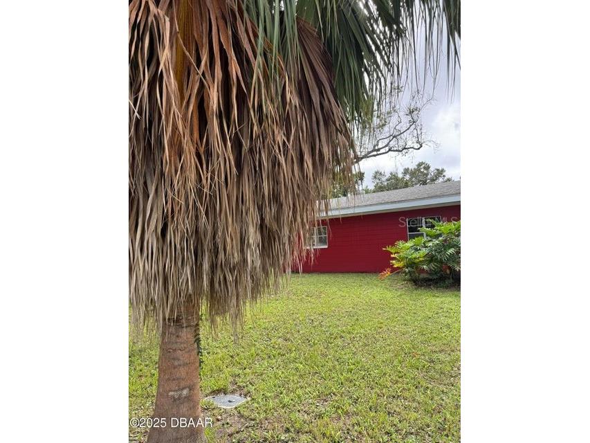 448 Dorothy Avenue Daytona Beach FL 32117 V4945412 image30