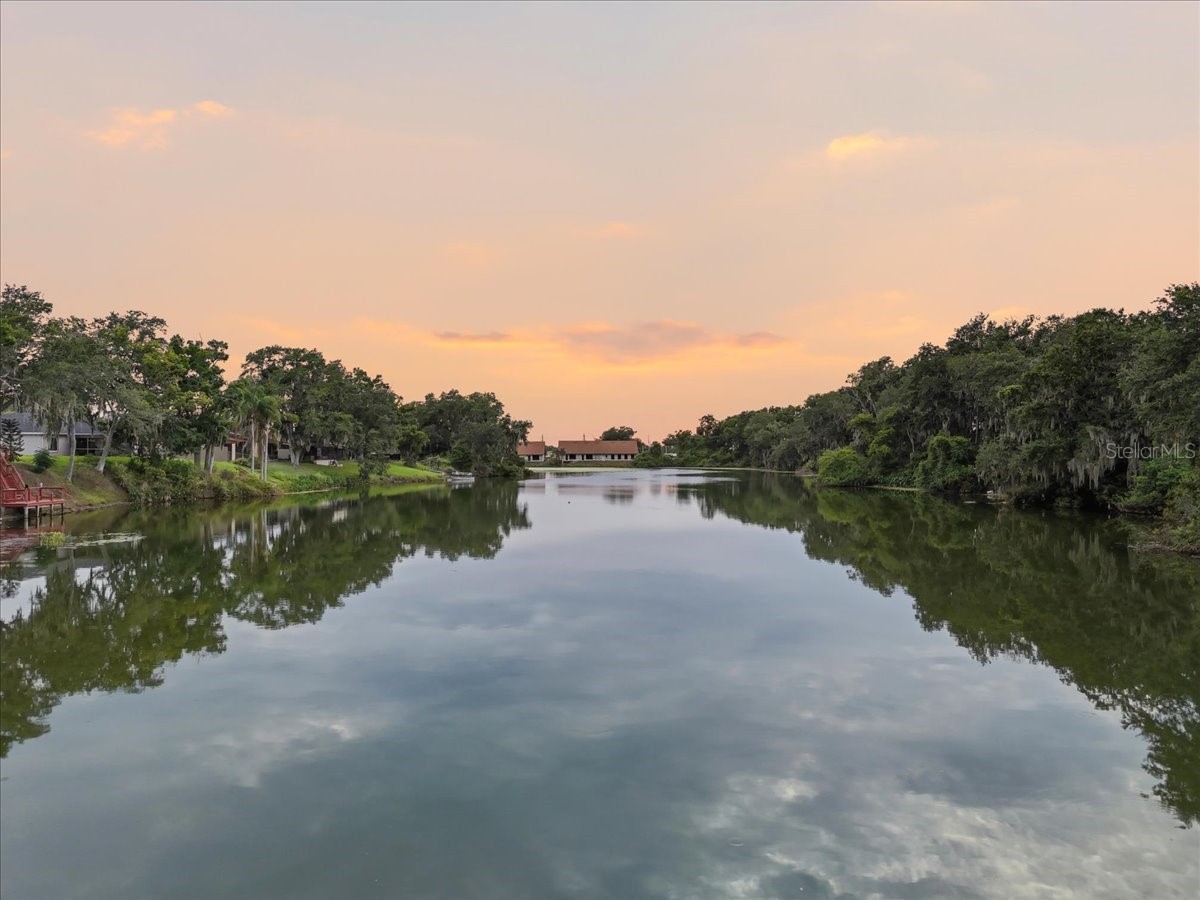 448 Lake Harris Drive Lakeland FL 33813 - LAKE HARRIS L4962441 image45