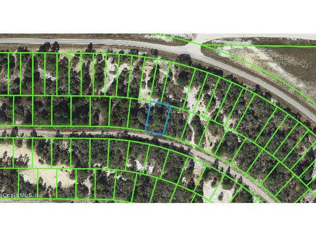 448 Morningside Drive Lake Placid FL 33852 OM542122 image1