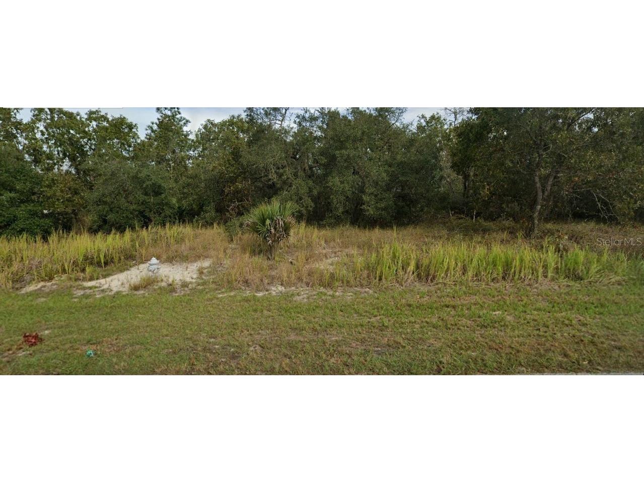 448 Naples Court Kissimmee FL 34759 O6223107 image1