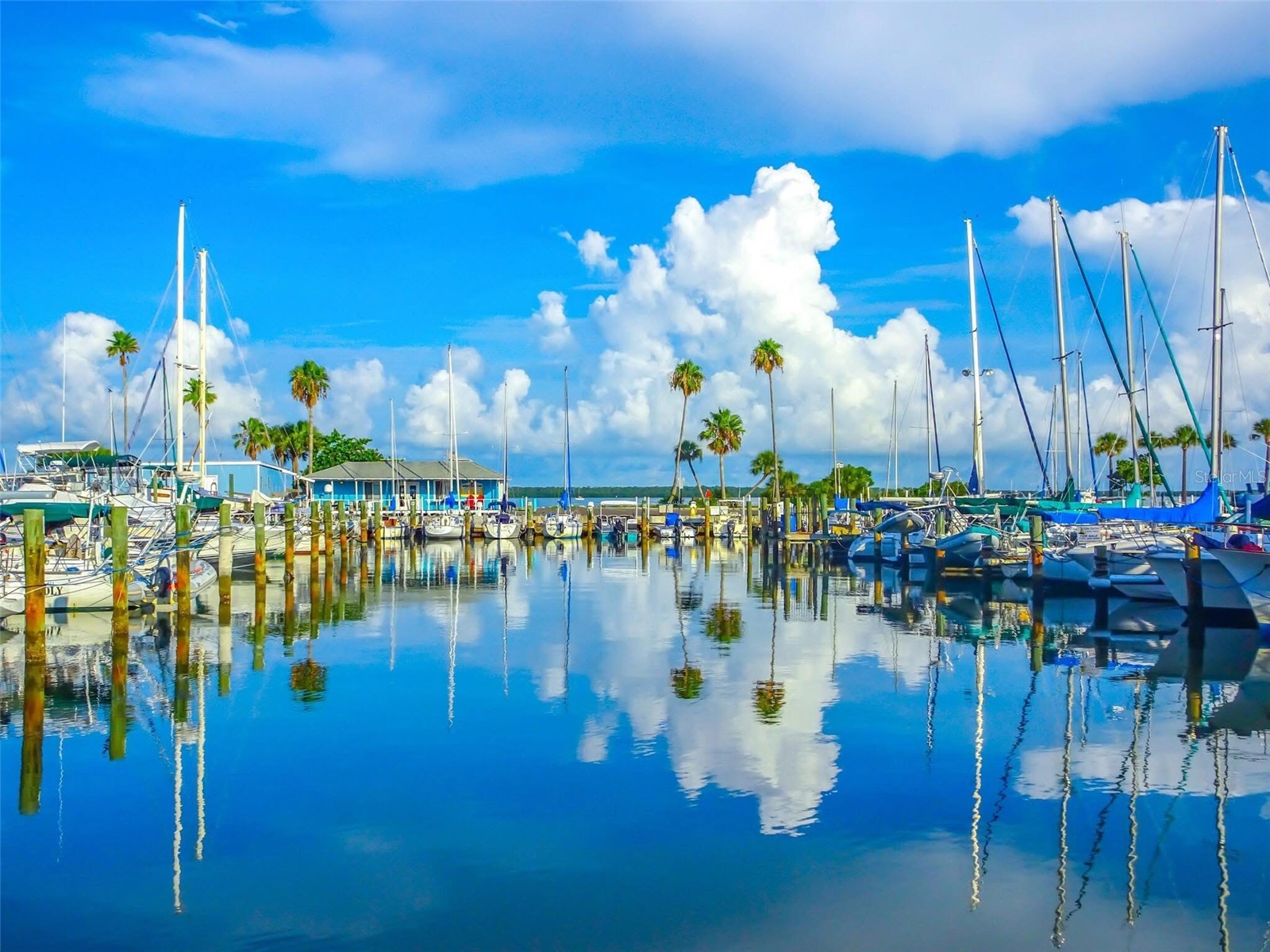 448 Orangewood Drive Dunedin FL 34698 TB8483100 image40