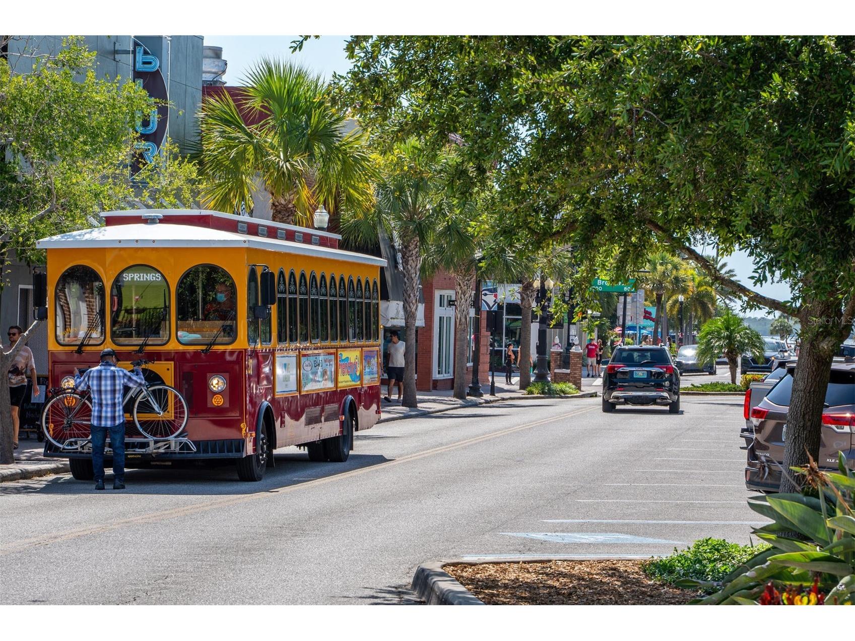 448 Orangewood Drive Dunedin FL 34698 TB8483100 image42