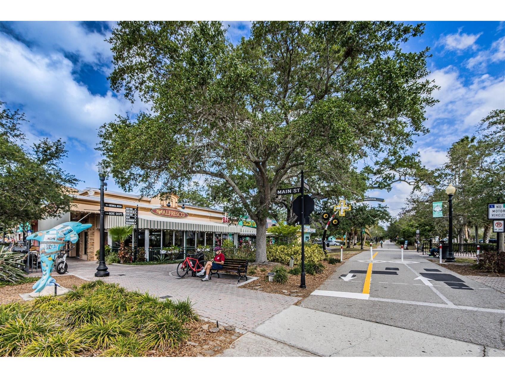 448 Orangewood Drive Dunedin FL 34698 TB8483100 image43