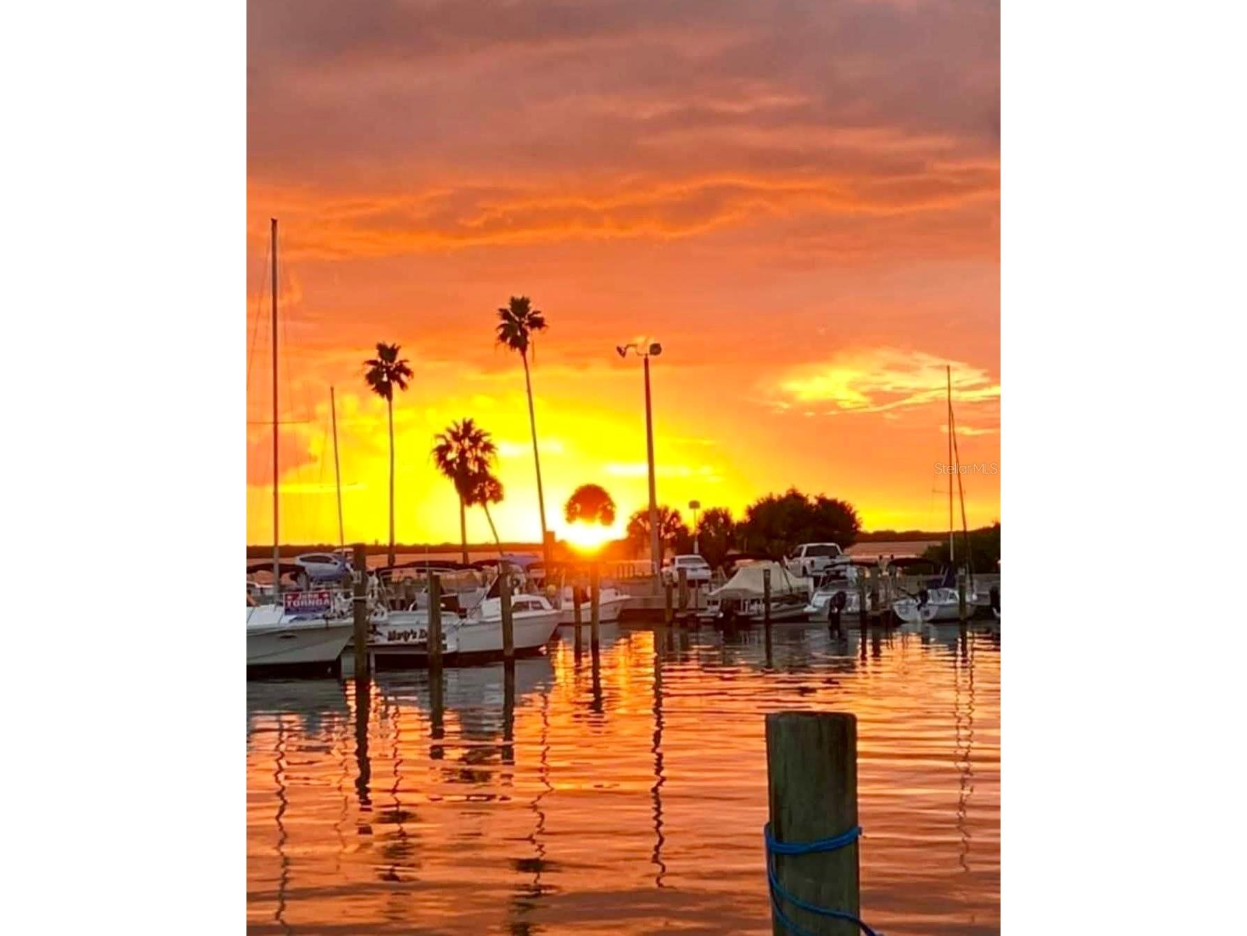 448 Orangewood Drive Dunedin FL 34698 TB8483100 image46