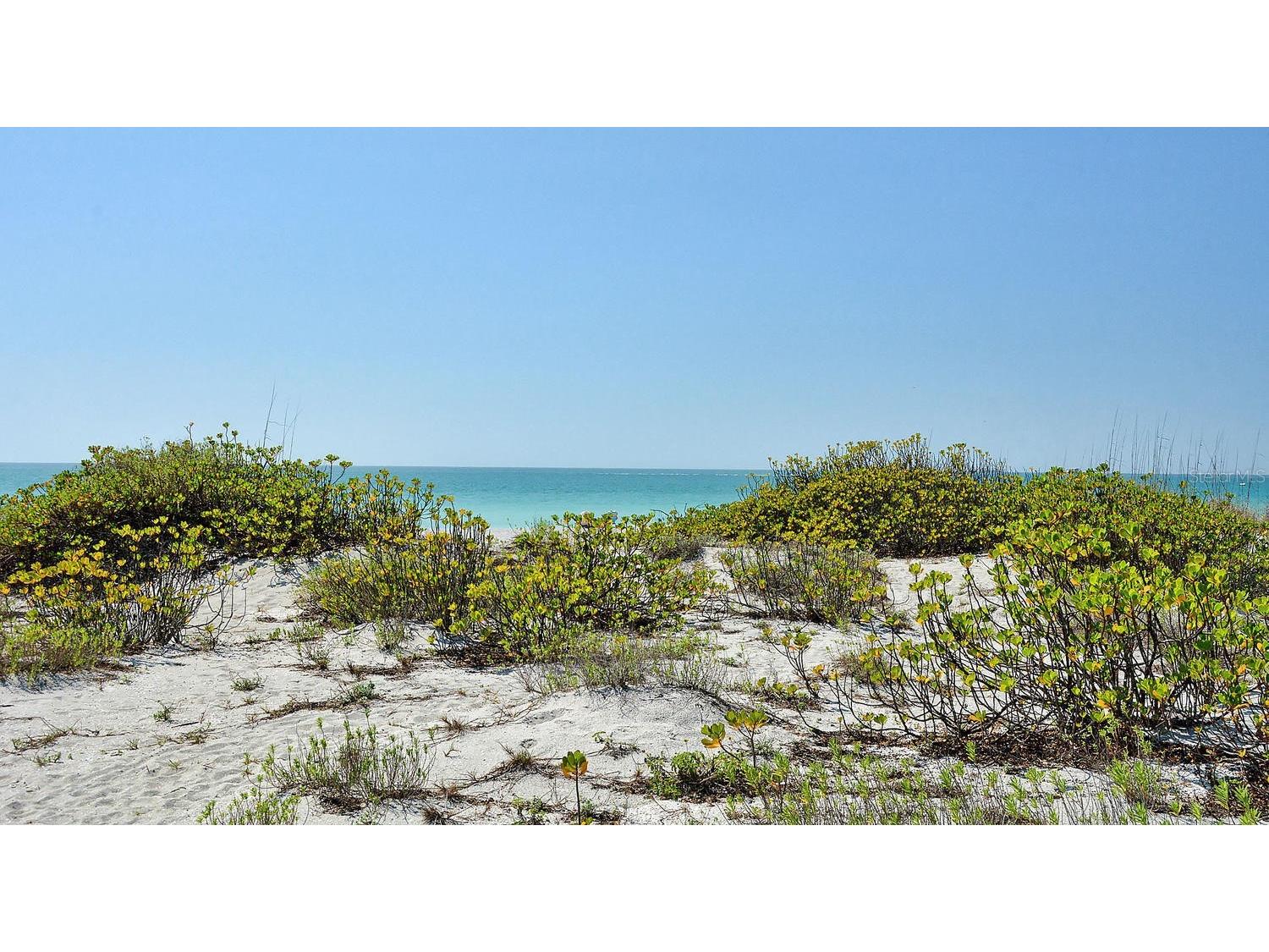 448 Redwood Road Venice FL 34293 TB8506775 image44