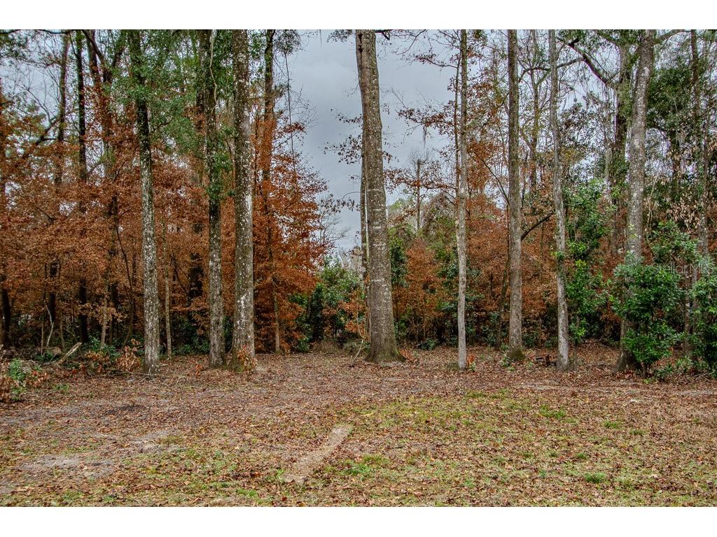 448 SW Central Terrace Fort White FL 32038 GC536544 image6