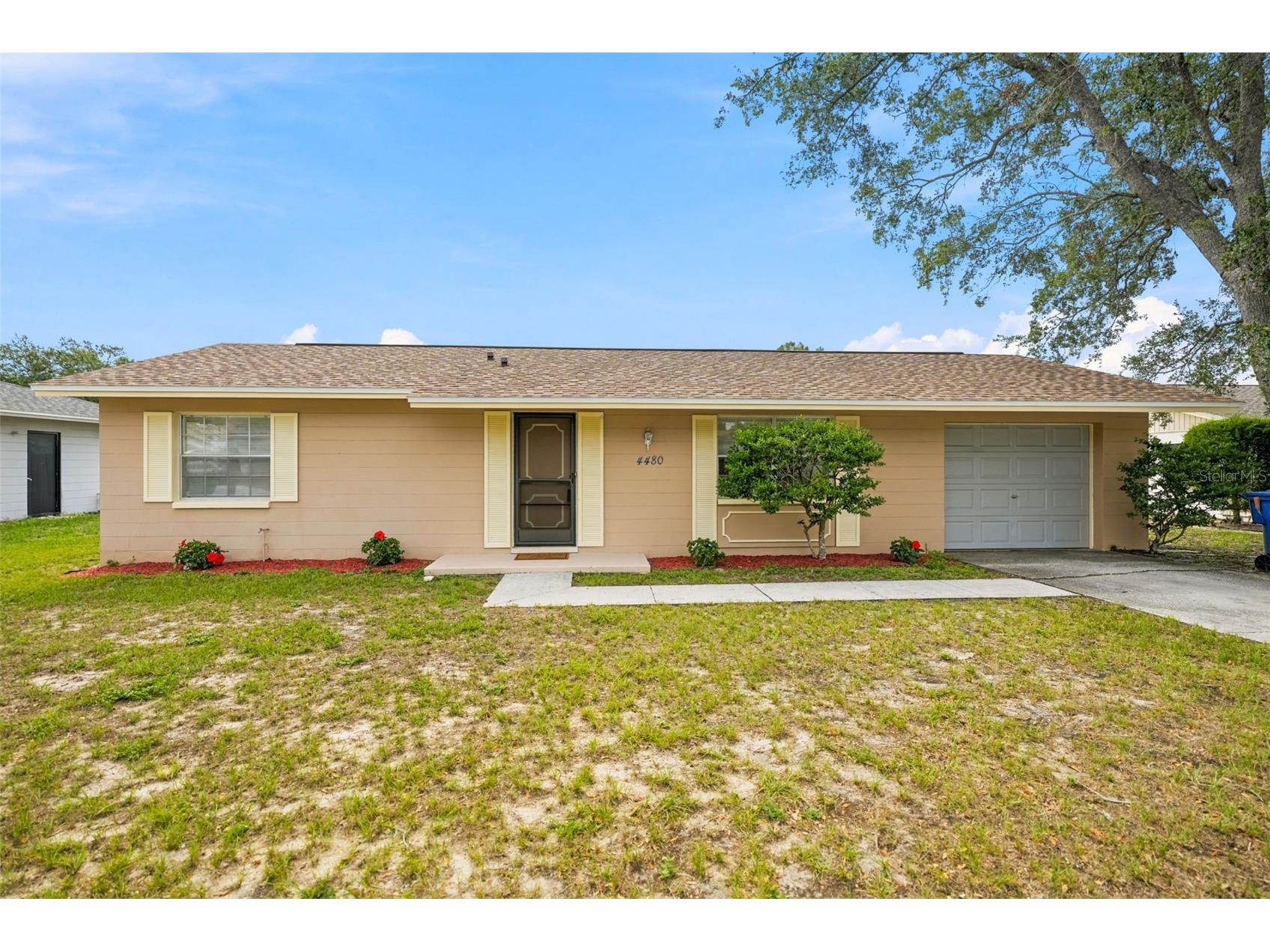 4480 Bromley Avenue Spring Hill FL 34609 W7887635 image1