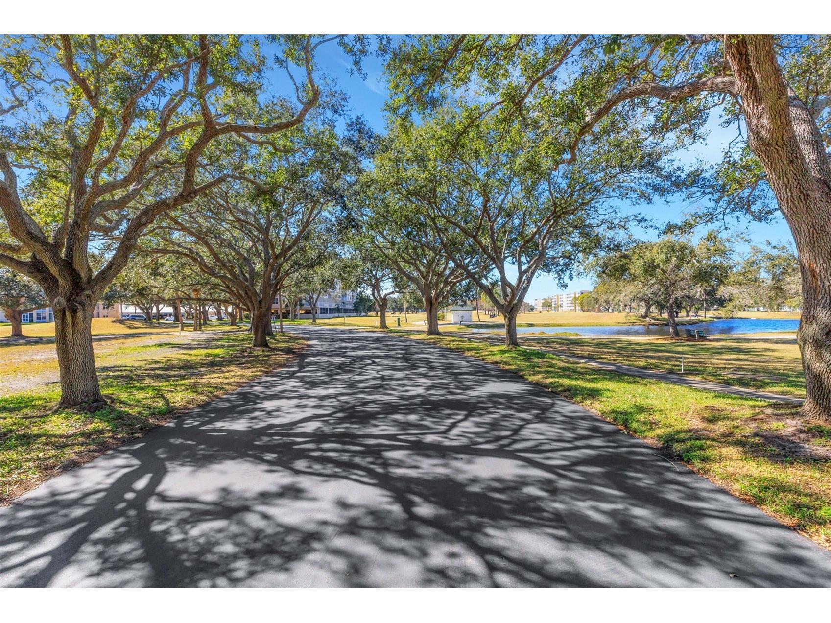 4480 Fairways Boulevard #208 Bradenton FL 34209 A4693070 image40