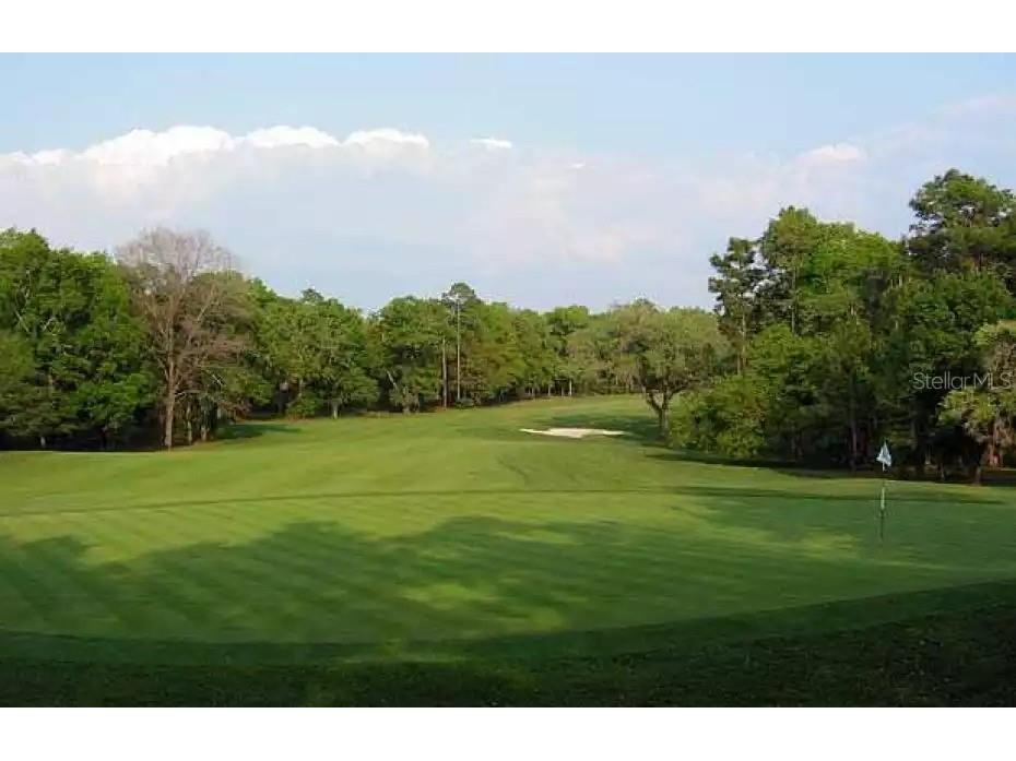 4480 Ironwood Circle #217A Bradenton FL 34209 A4668737 image29