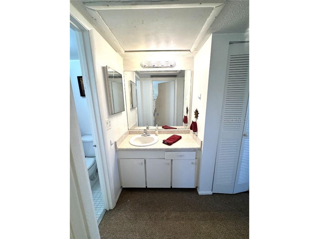 4480 Ironwood Circle #308A Bradenton FL 34209 A4672669 image20