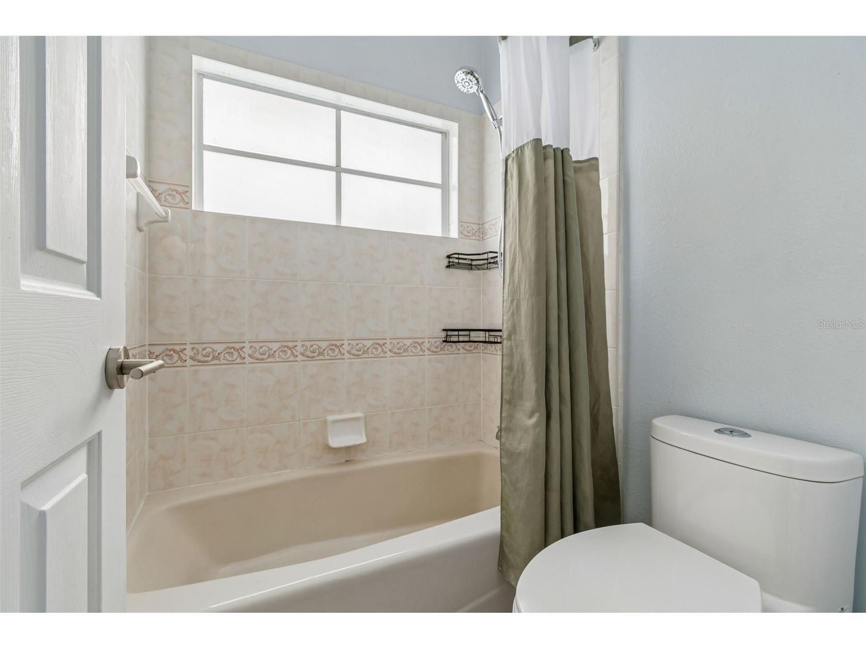 4482 Begonia Court Windermere FL 34786 O6424551 image40