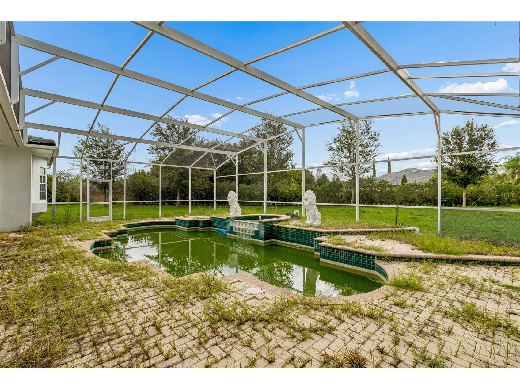 4482 Begonia Court Windermere FL 34786 O6424551 image46