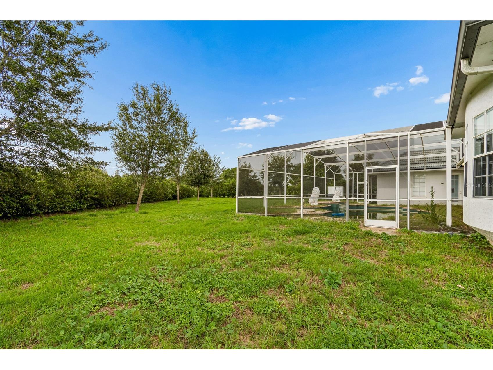 4482 Begonia Court Windermere FL 34786 O6424551 image49