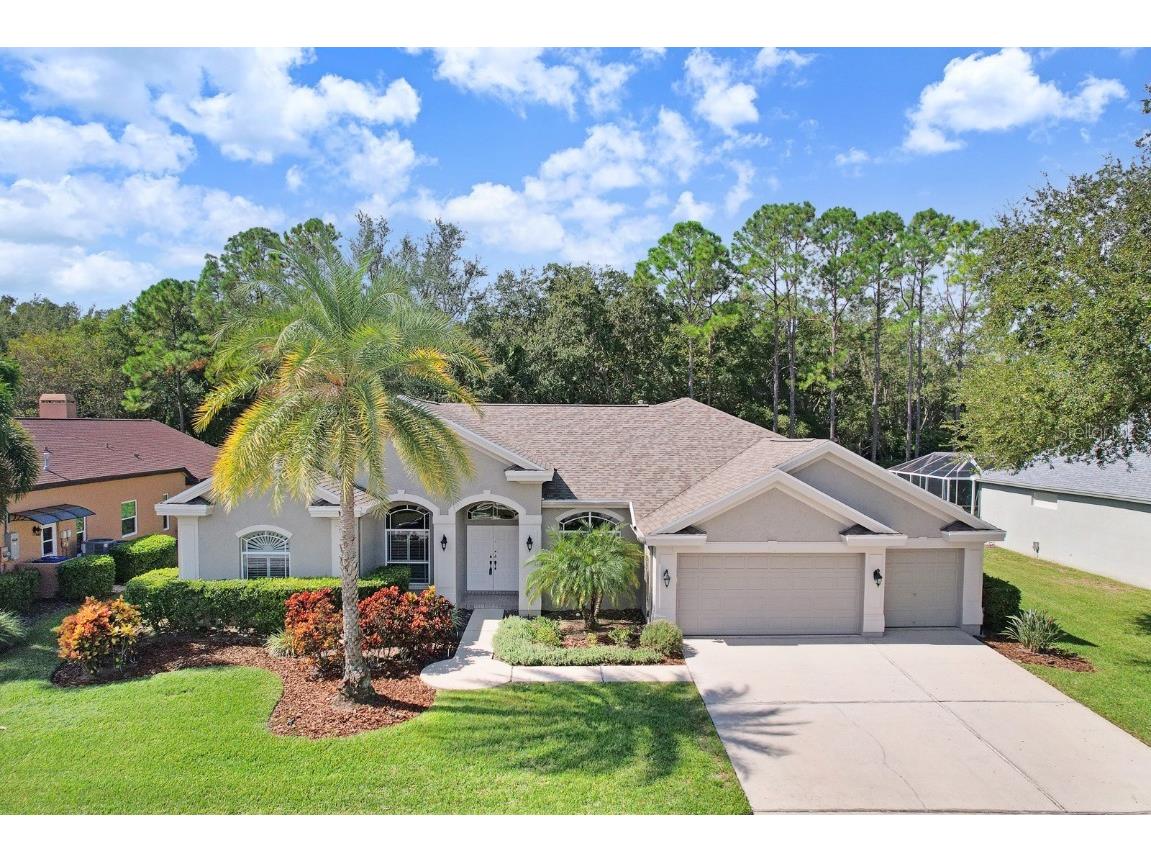 4482 Rockwood Drive Palm Harbor FL 34685 U8218593 image1