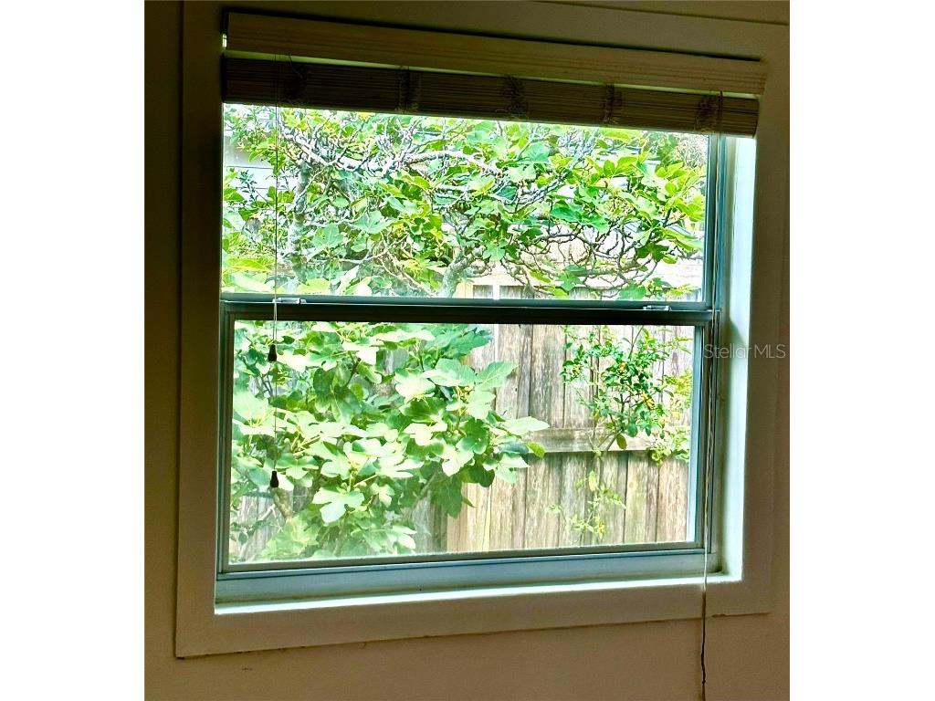 4485 49th Avenue N Saint Petersburg FL 33714 TB8373303 image11