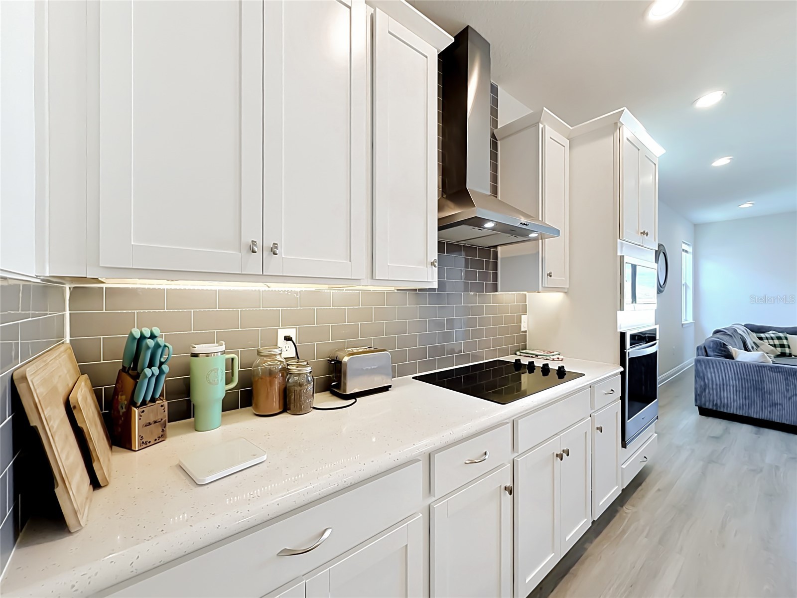 4485 Davos Drive Clermont FL 34711 O6406635 image14