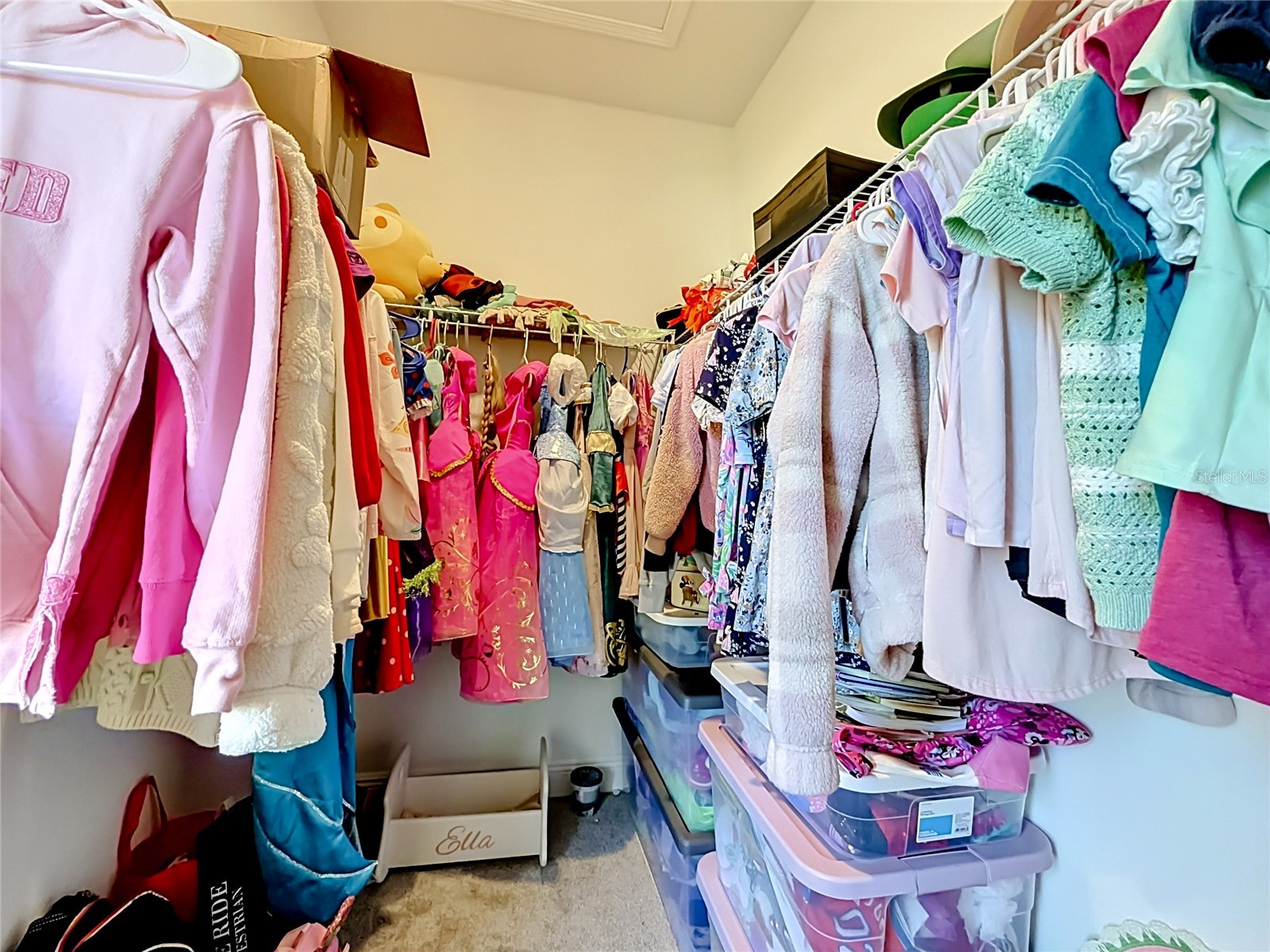 4485 Davos Drive Clermont FL 34711 O6406635 image43