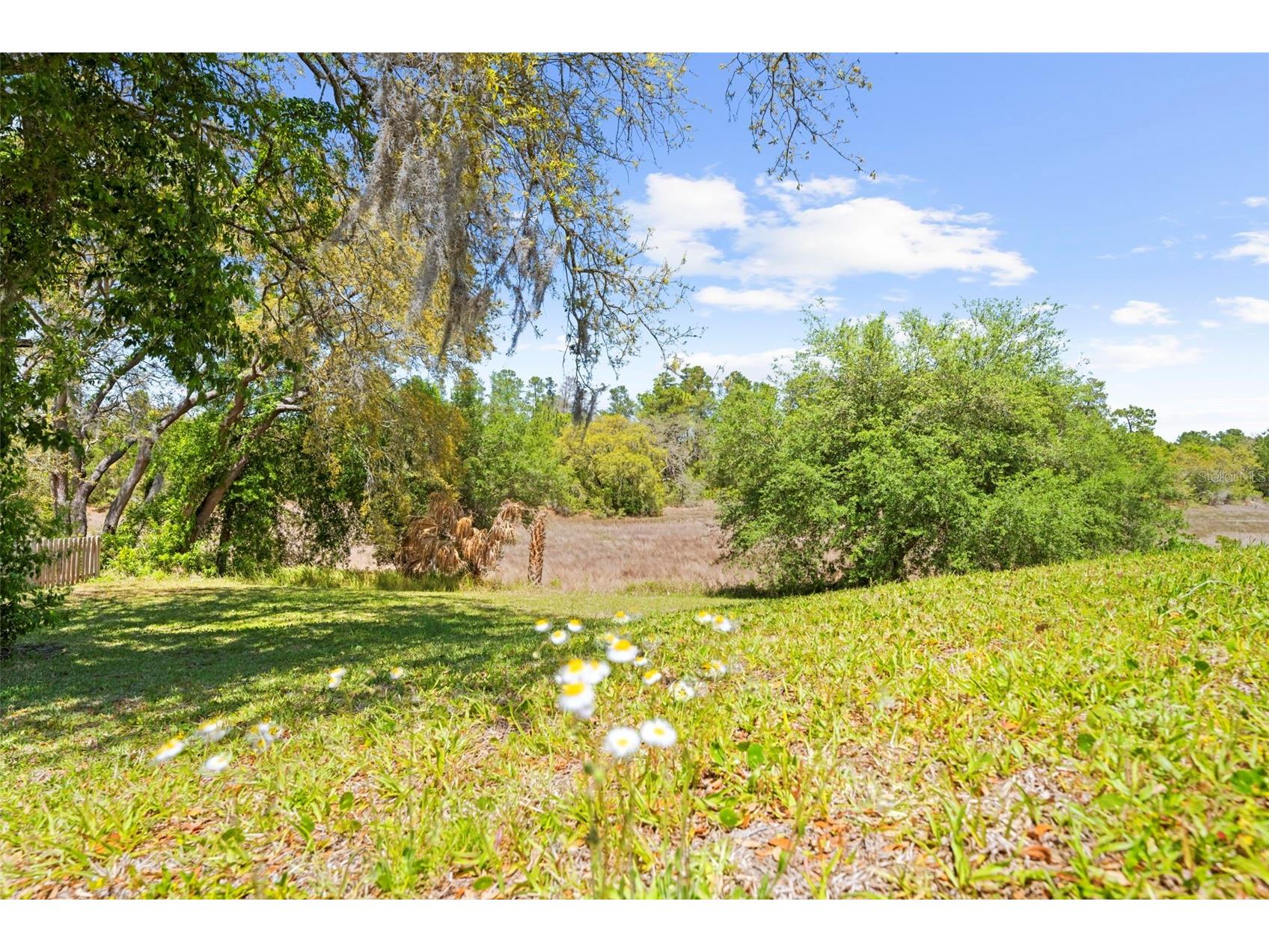 4488 Bluewater Avenue Spring Hill FL 34606 W7884884 image8