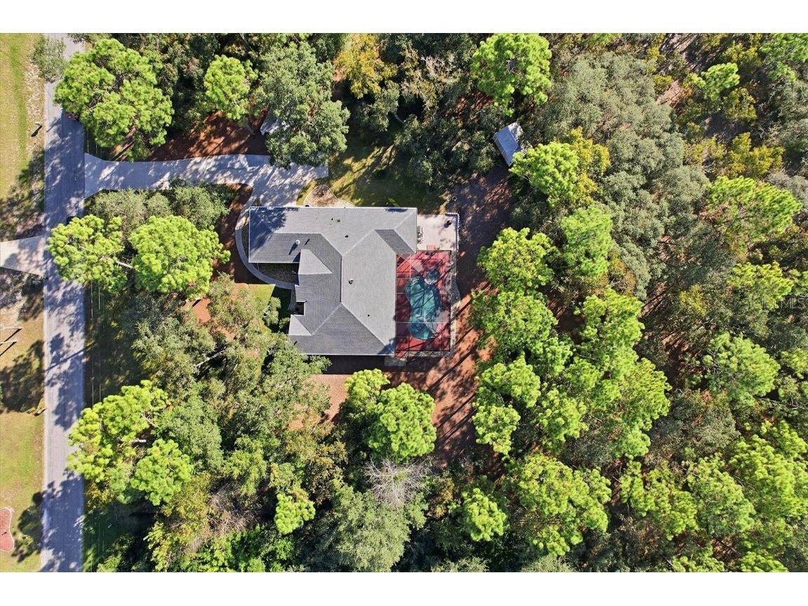 4488 N Capistrano Loop Beverly Hills FL 34465 OM713162 image41