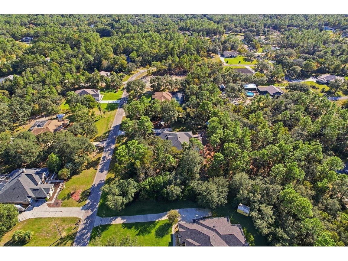 4488 N Capistrano Loop Beverly Hills FL 34465 OM713162 image42