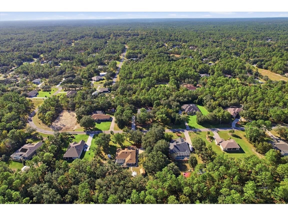 4488 N Capistrano Loop Beverly Hills FL 34465 OM713162 image43