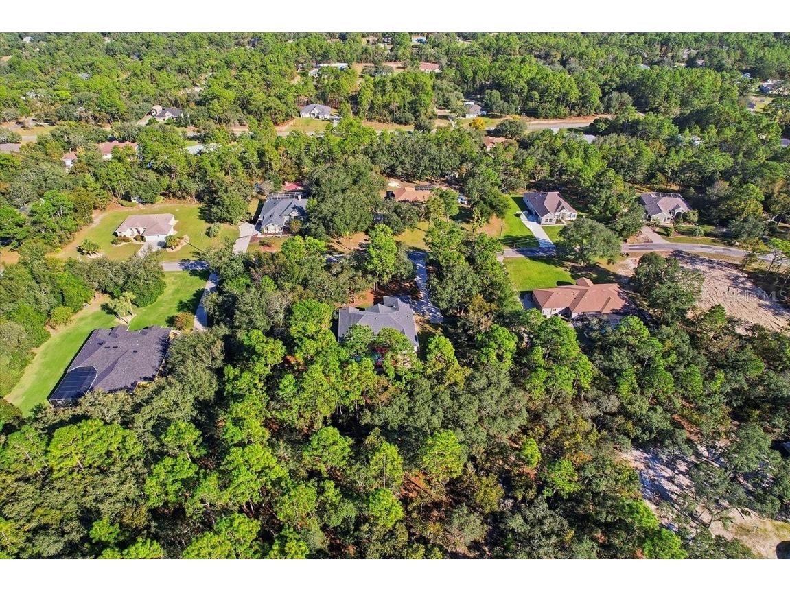 4488 N Capistrano Loop Beverly Hills FL 34465 OM713162 image44